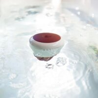 ONDILO ICO SPA - intelligente Wasseranalyse für den Pool, SwimSpa & Whirlpool